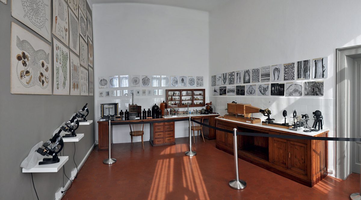 Museo Manzoni