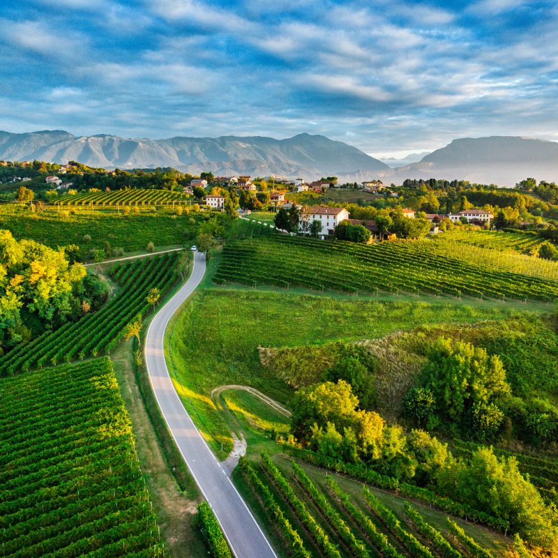 The wine roads - Visit Conegliano