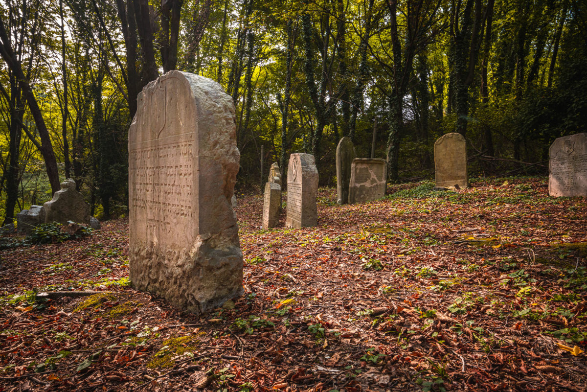 Visits to the Jewish Cemetery
