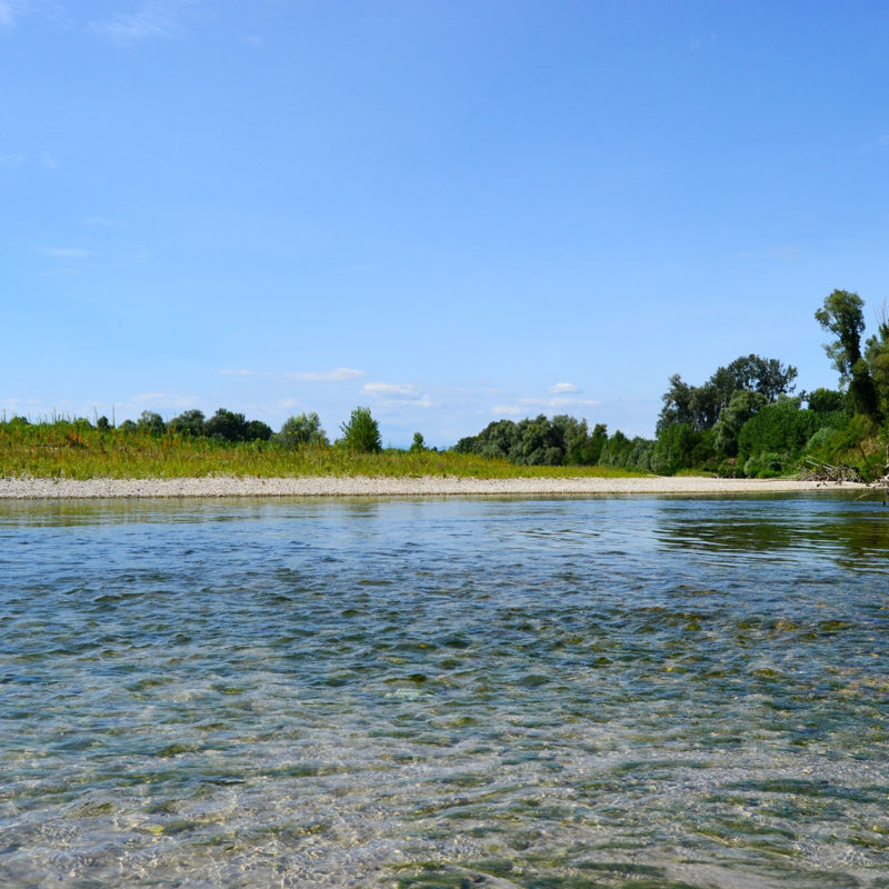 Der Piave und der Große Krieg - Visit Conegliano