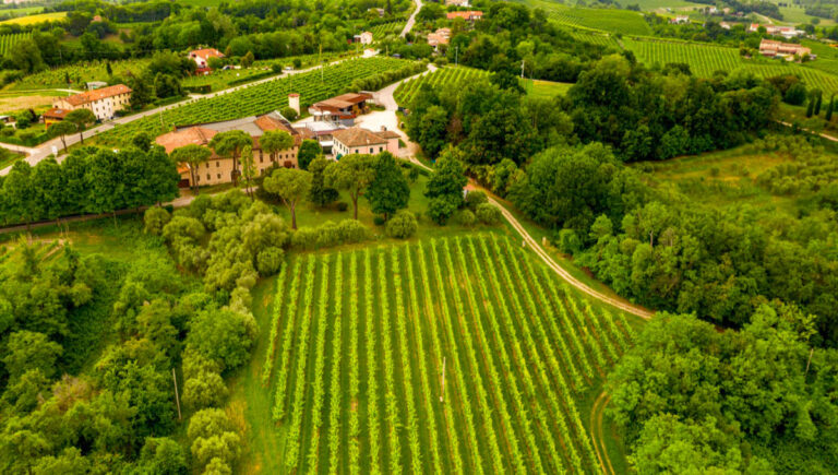 Azienda vinicola San Giovanni Perini - Visit Conegliano