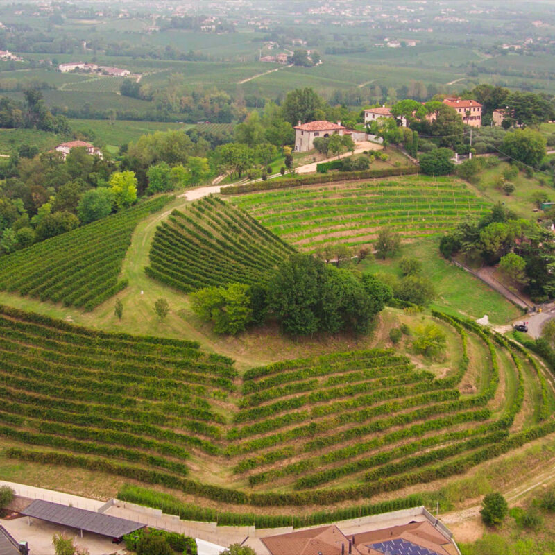 Biancavigna S.S. società agricola - Visit Conegliano