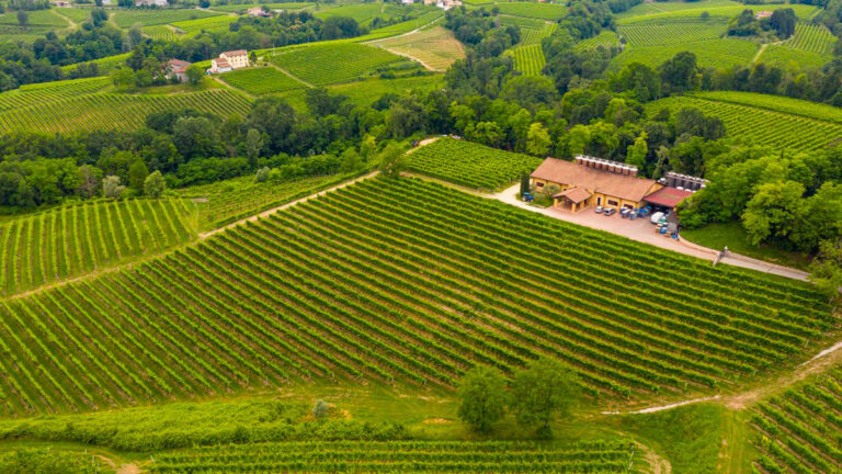 Fattoria Conca d’Oro - Visit Conegliano