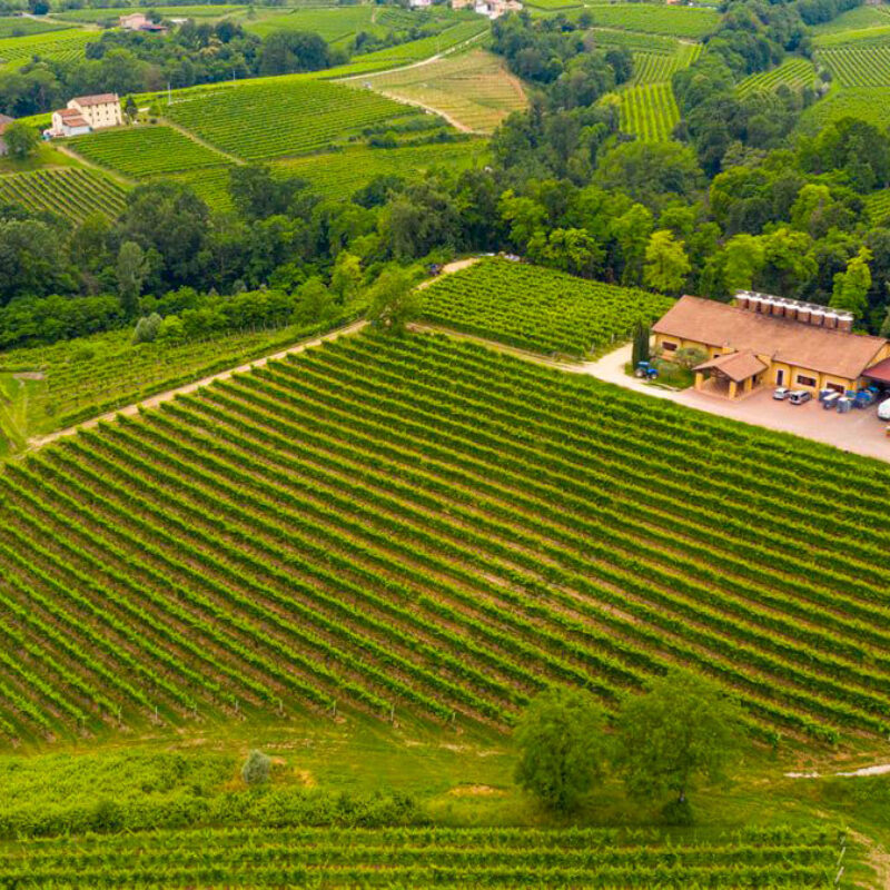 Fattoria Conca d’Oro - Visit Conegliano